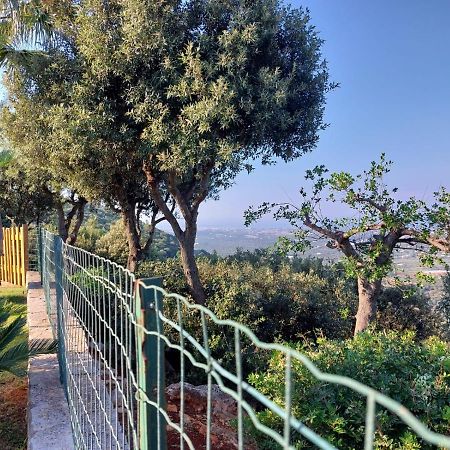 Villa Maremonti Monopoli Kültér fotó