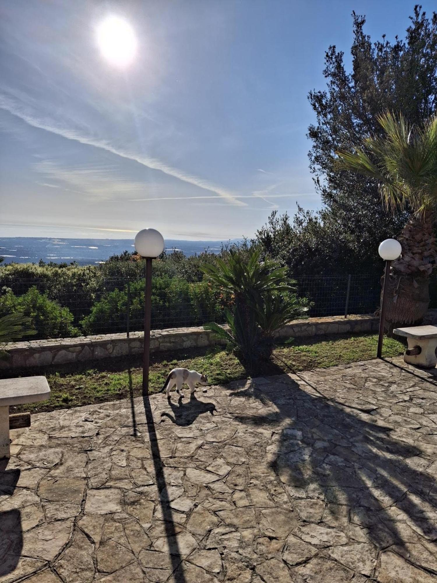 Villa Maremonti Monopoli Kültér fotó